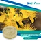 St. John's Wort Extract is a natural supplement made from the flowers and leaves of the St. John's Wort plant, which is commonly found in Europe and Asia. It has been used for centuries in traditional medicine to treat various health conditions.